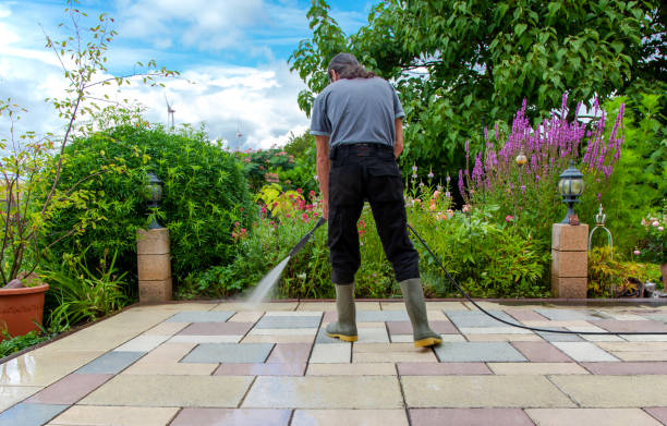 Best Brick and Stone Cleaning in Riviera Beach, MD